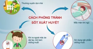 Cách hiệu quả để phòng tránh sốt xuất huyết hiệu quả