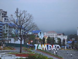 Tam Đảo thuộc nơi nào? 6 địa điểm check in sống ảo ở Tam Đảo