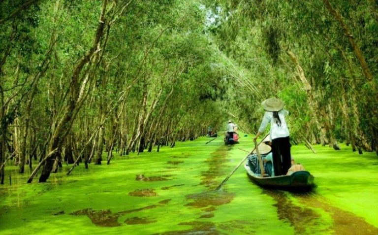 Du lịch Cà Mau - Check in ngay 10 địa điểm du lịch rất nổi tiếng