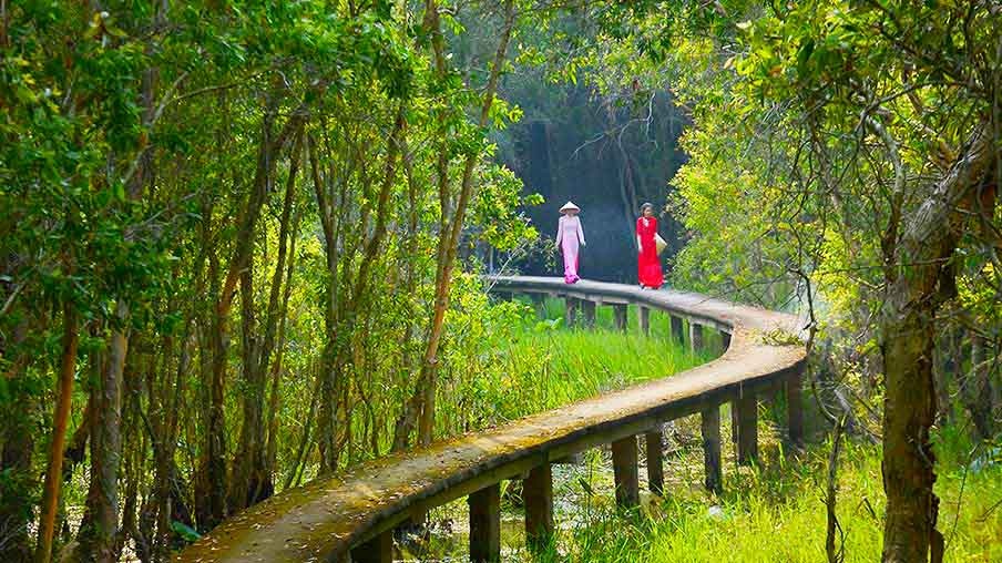 Làng nổi Tân Lập: Điểm du lịch mới đầy hấp dẫn nhiều du khách