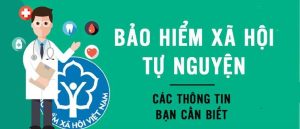 Thủ tục đóng bảo hiểm xã hội tự nguyện chi tiết, đầy đủ 2023